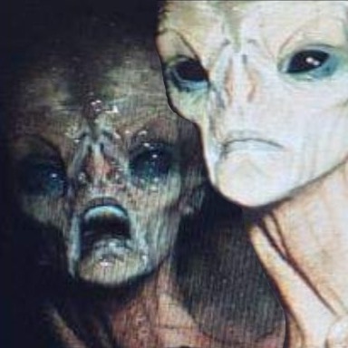 Image of two Evil Grey aliens